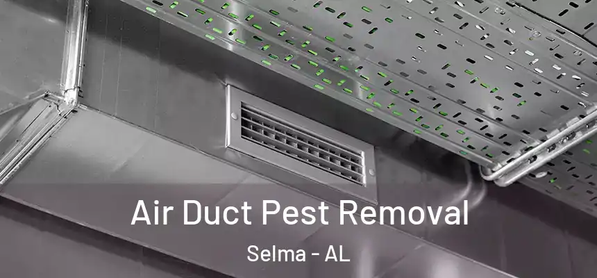  Air Duct Pest Removal Selma - AL