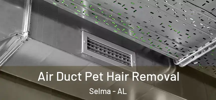 Air Duct Pet Hair Removal Selma - AL