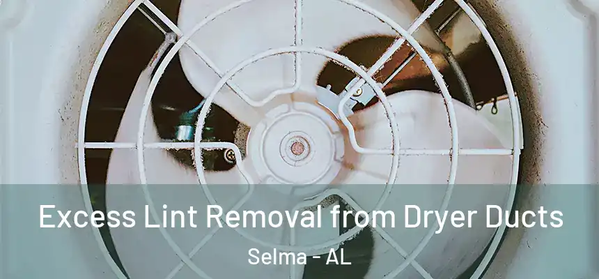  Excess Lint Removal from Dryer Ducts Selma - AL