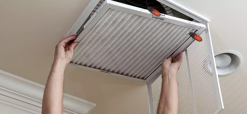 Our Insect Removal from Air Ducts Services in Selma, AL
