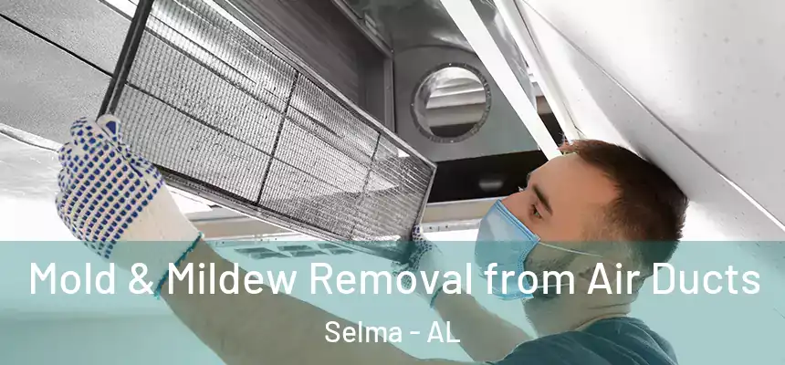  Mold & Mildew Removal from Air Ducts Selma - AL