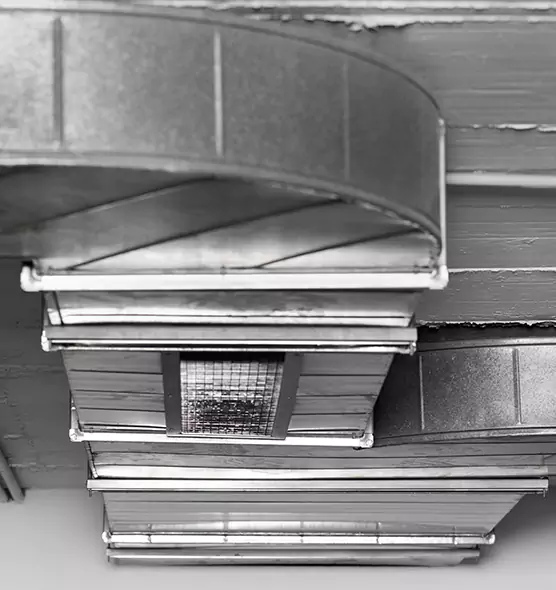 Professional Air Duct Pest Removal in Selma, AL