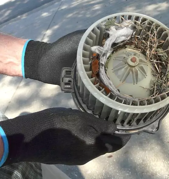 About Air Duct Rat Removal in Selma, AL