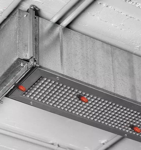 Affordable Insect Removal from Air Ducts in Selma, AL