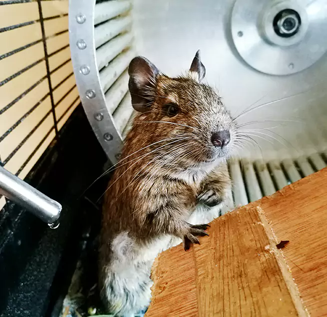 Why Homeowners & Businesses Trust Us Selma, AL