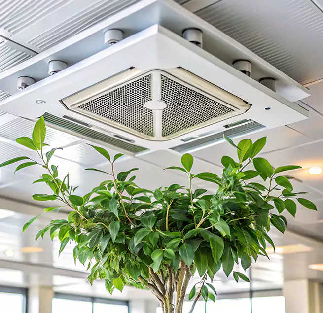 Why Homeowners & Businesses Trust Us in Selma, AL?