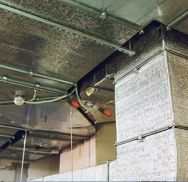 Why Homeowners & Businesses Trust Us Selma, AL?