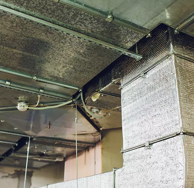 Why Homeowners & Businesses Trust Us in Selma, AL?